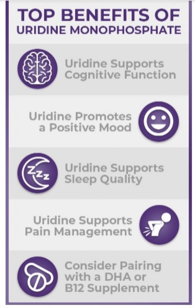 Uridine Monophosphate Benefits-uridine Benefits